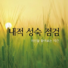 내적 성숙 점검